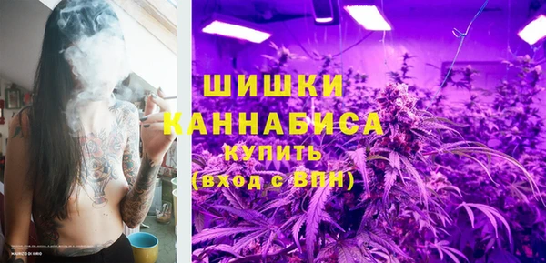 молекула духа Бородино