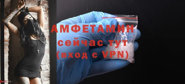 молекула духа Бородино