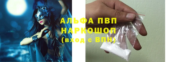 молекула духа Бородино