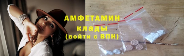 молекула духа Бородино