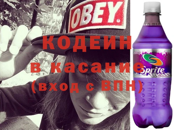 молекула духа Бородино