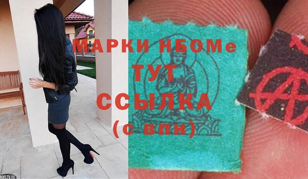 молекула духа Бородино