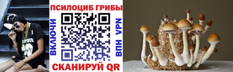 ОМГ ОМГ ТОР  Наро-Фоминск  Галлюциногенные грибы Psilocybine cubensis 