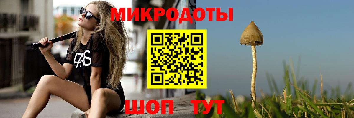 Псилоцибиновые грибы Psilocybine cubensis  как найти   Наро-Фоминск  Вход с VPN 